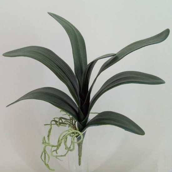 Orchid Leaves and Roots XXL Artificial Leaves